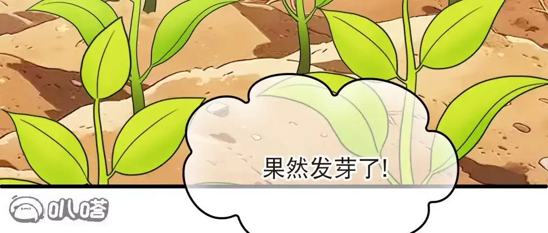 第2季324话谁说樨眉灭绝了？2-风起苍岚-飒飒动漫（第29张）