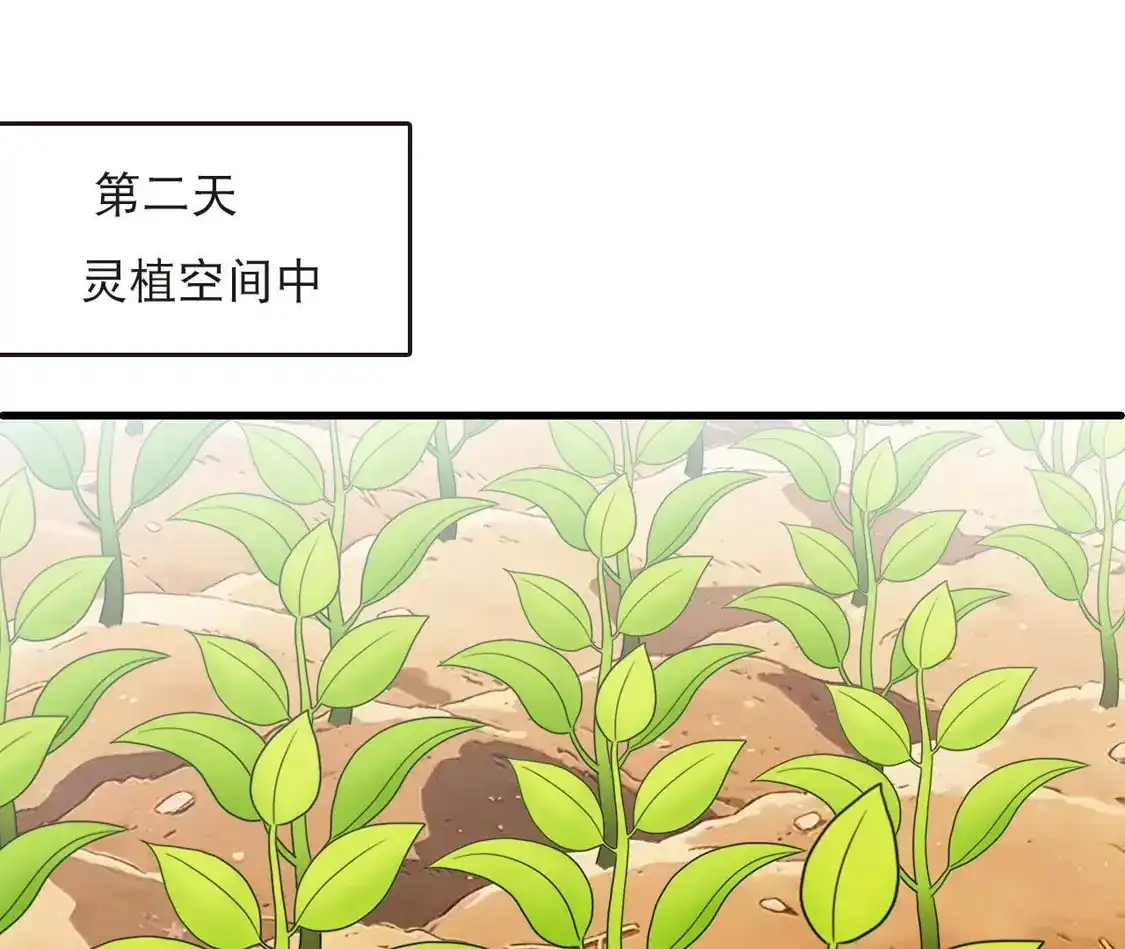 第2季324话谁说樨眉灭绝了？2-风起苍岚-飒飒动漫（第28张）