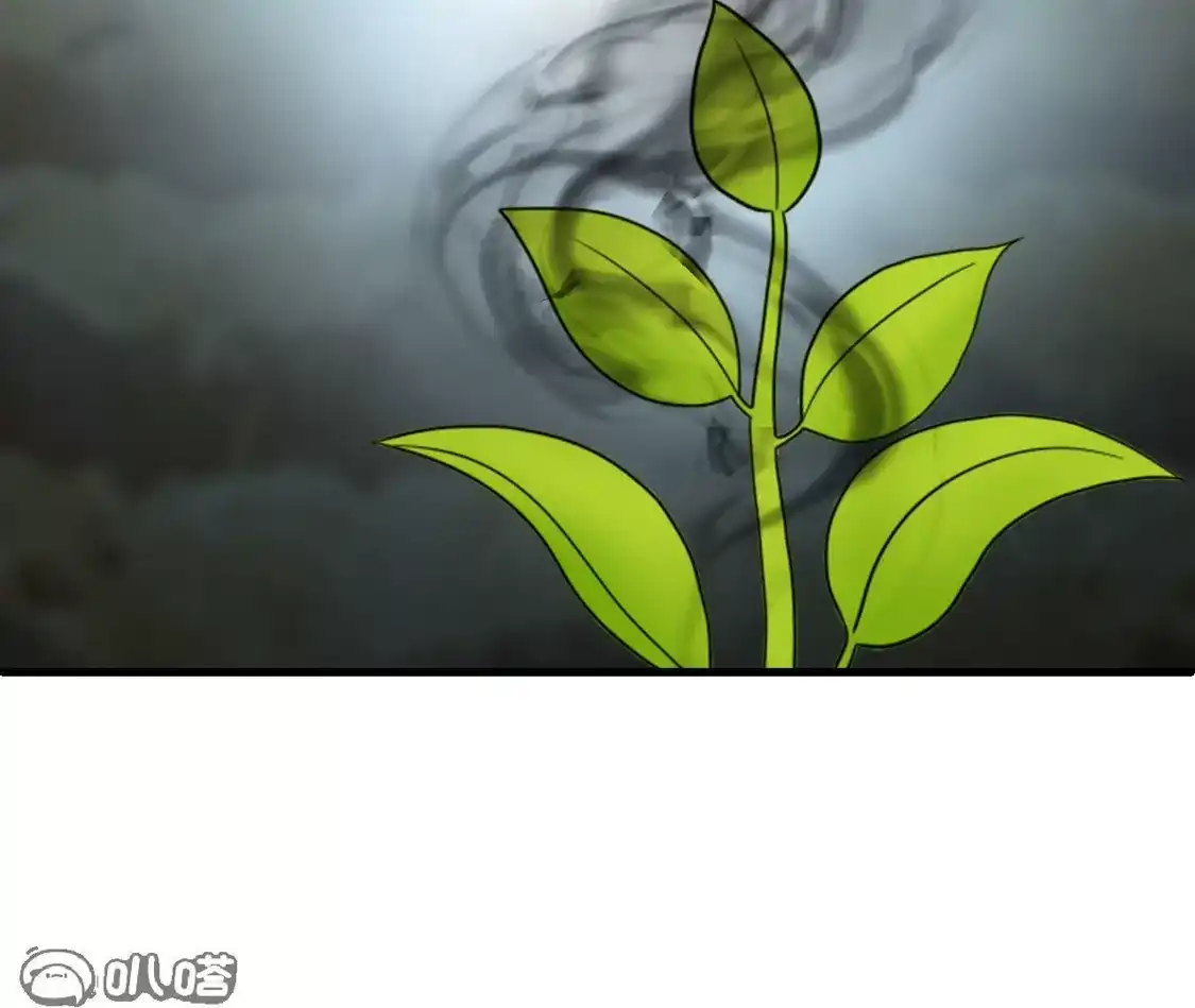 第2季325话谁说樨眉灭绝了？3-风起苍岚-飒飒动漫（第15张）