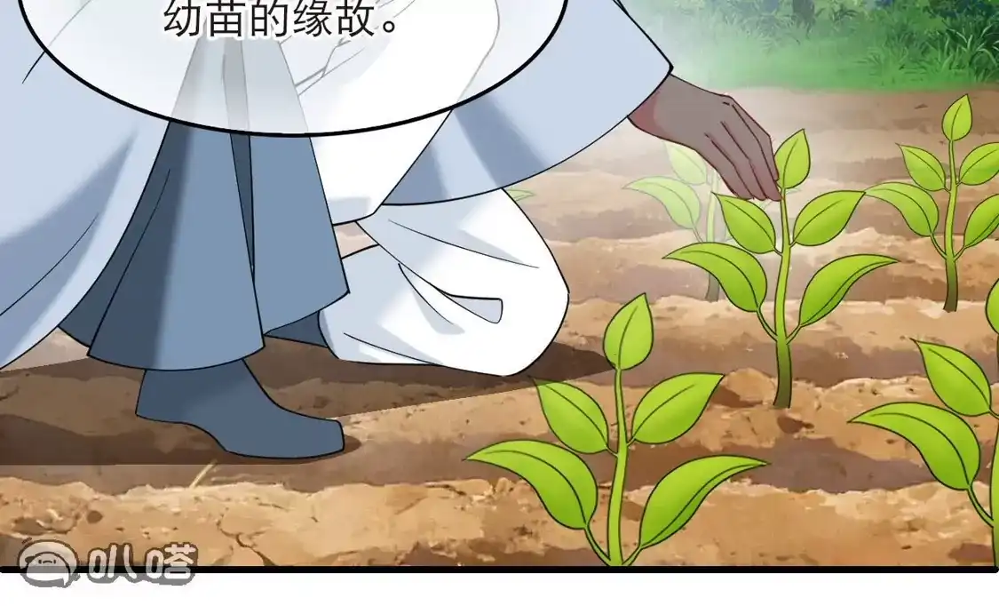 第2季325话谁说樨眉灭绝了？3-风起苍岚-飒飒动漫（第13张）