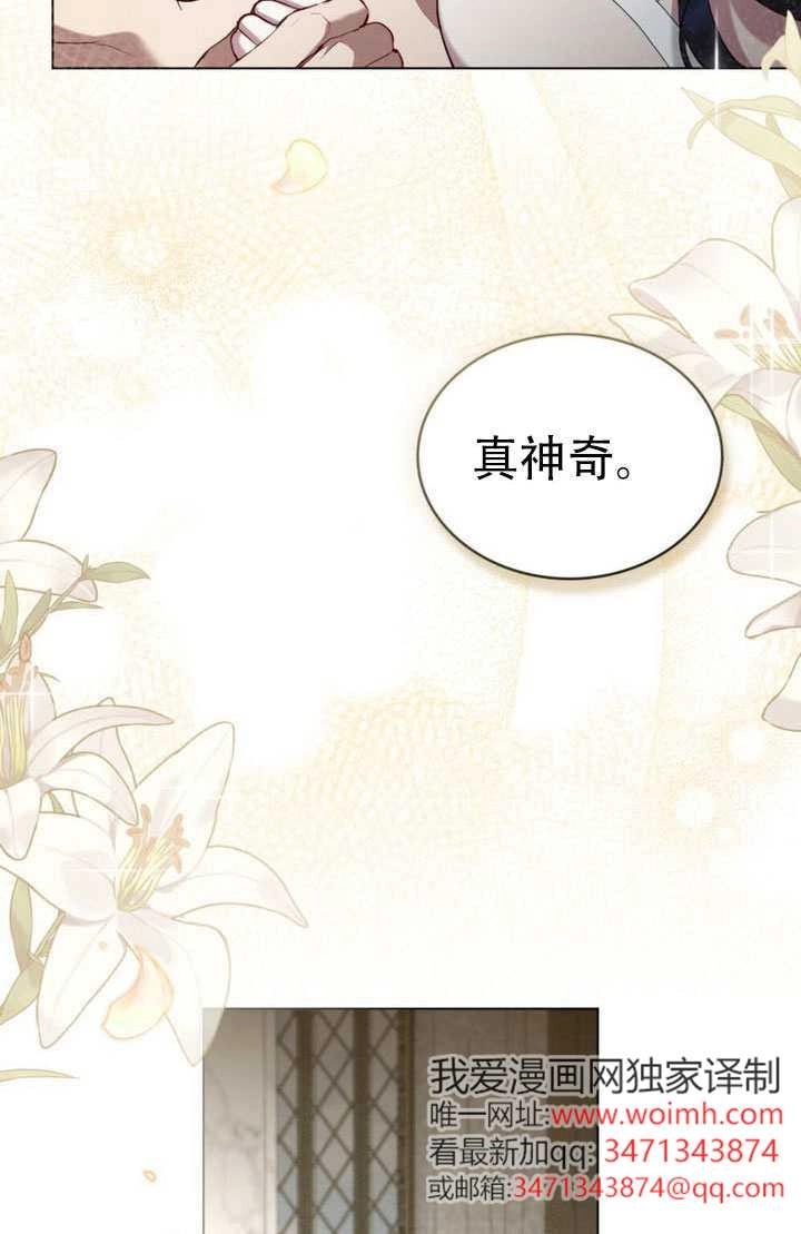 第46话-公主的卧室玩偶-[db:作者]（第37张）