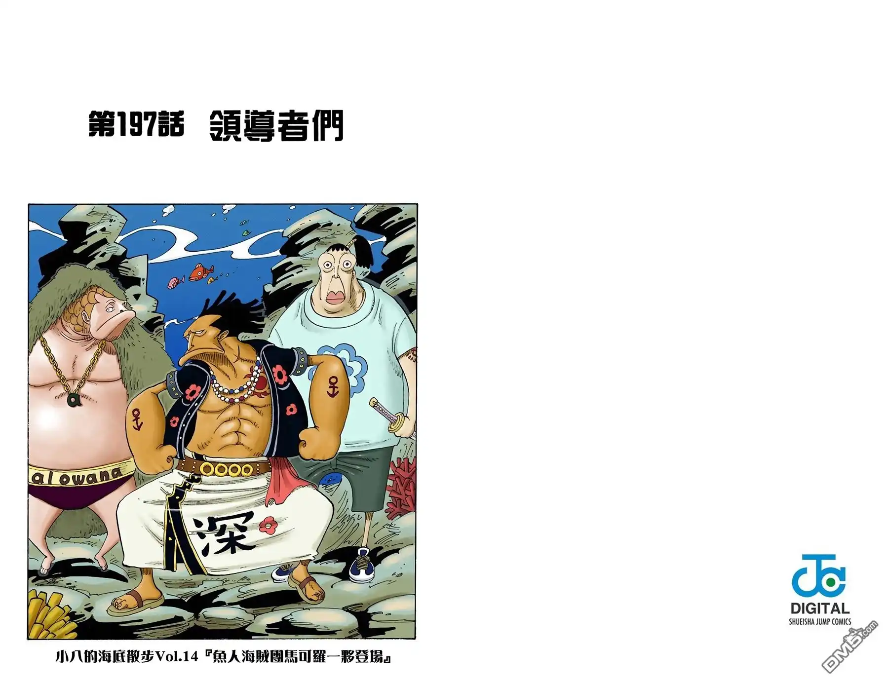 全彩版22卷-海贼王-尾田荣一郎（第12张）