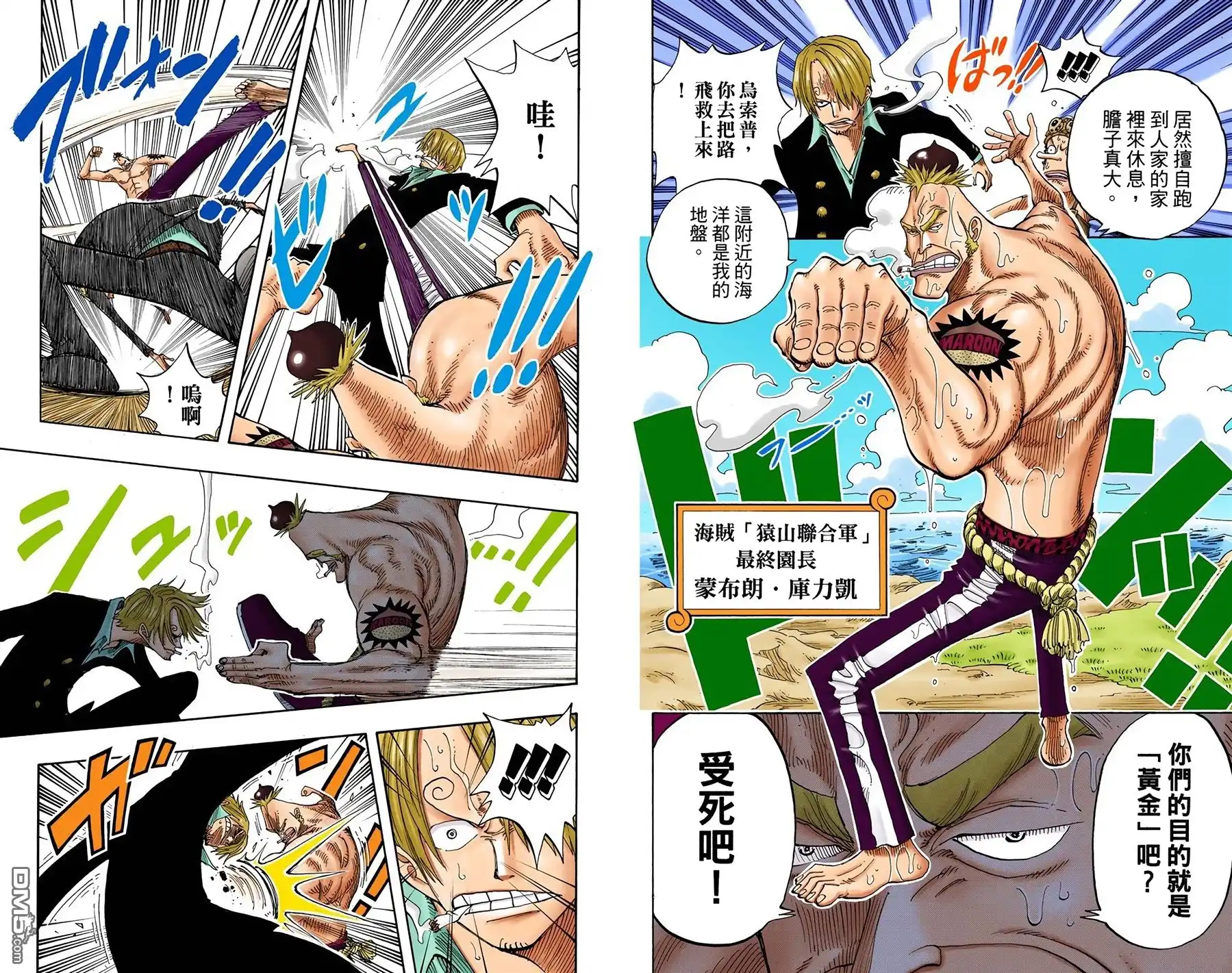 全彩版25卷-海贼王-尾田荣一郎（第9张）