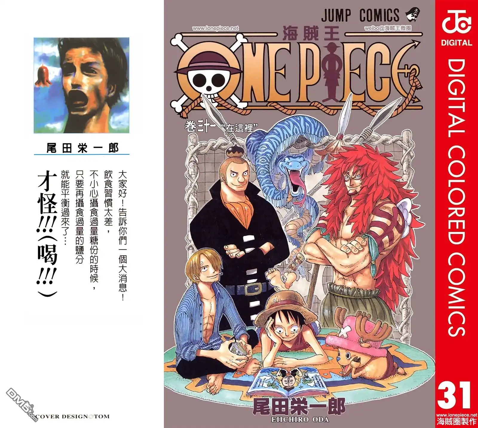 全彩版31卷-海贼王-尾田荣一郎（第1张）