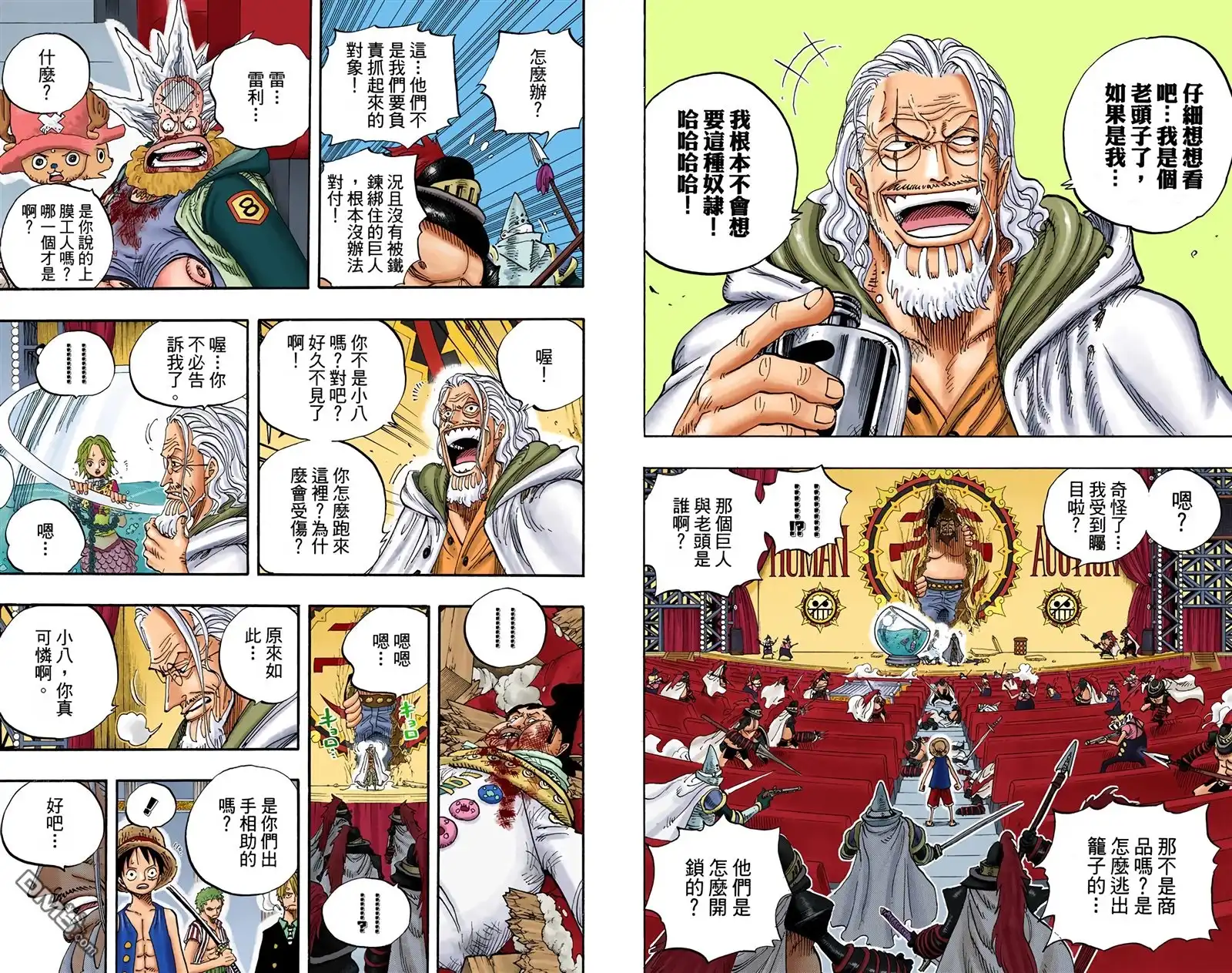 全彩版52卷-海贼王-尾田荣一郎（第13张）
