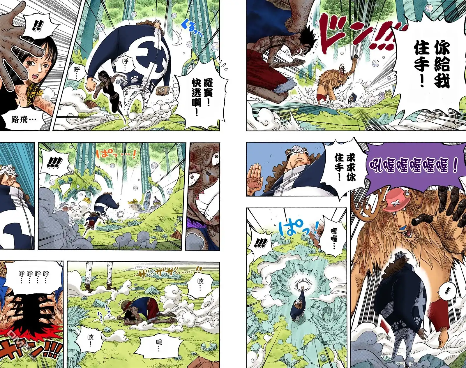 全彩版53卷-海贼王-尾田荣一郎（第13张）