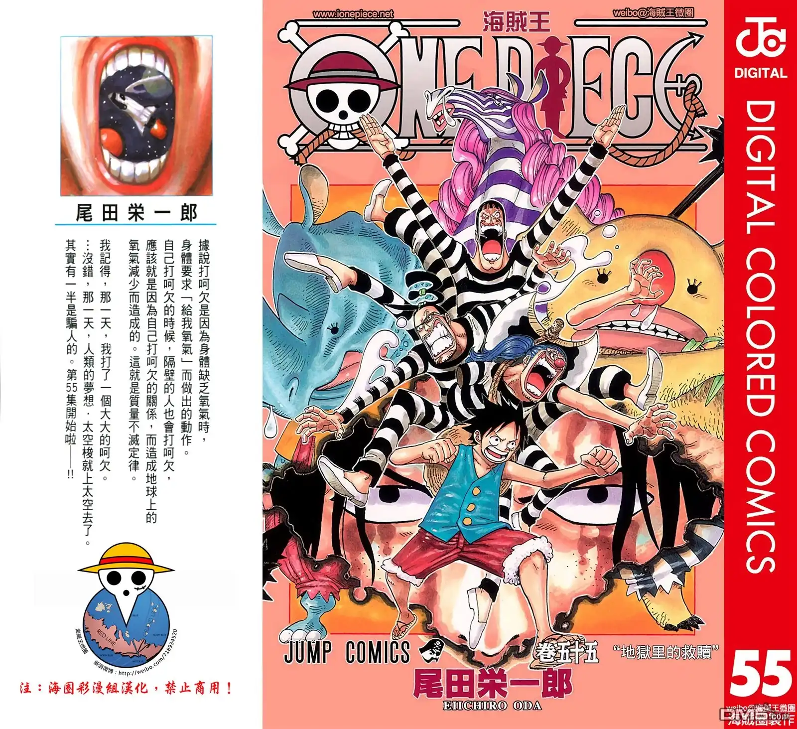 全彩版55卷-海贼王-尾田荣一郎（第2张）