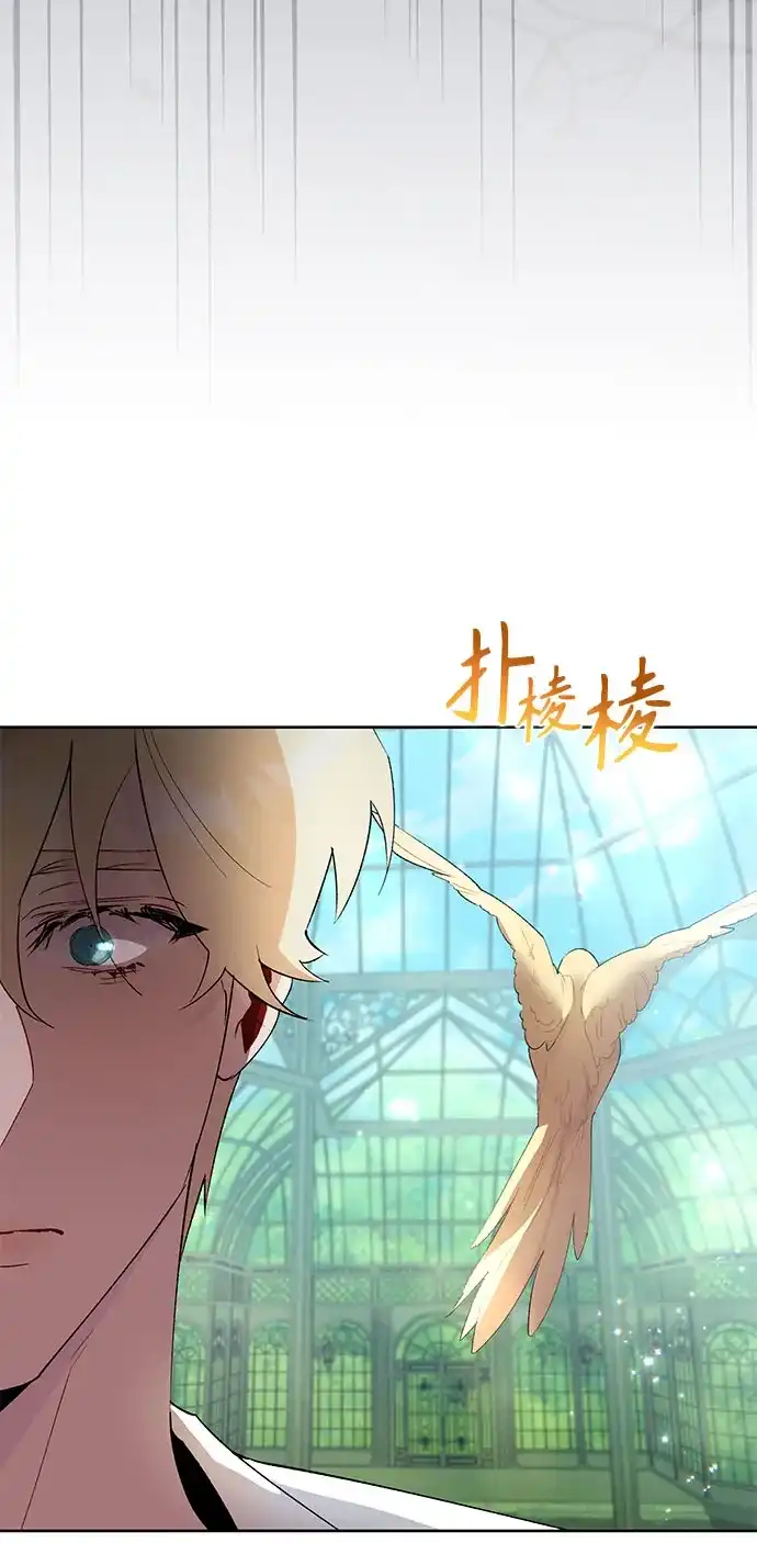 第5话-黑暗公爵的笼中鸟-Mongzzee（第53张）