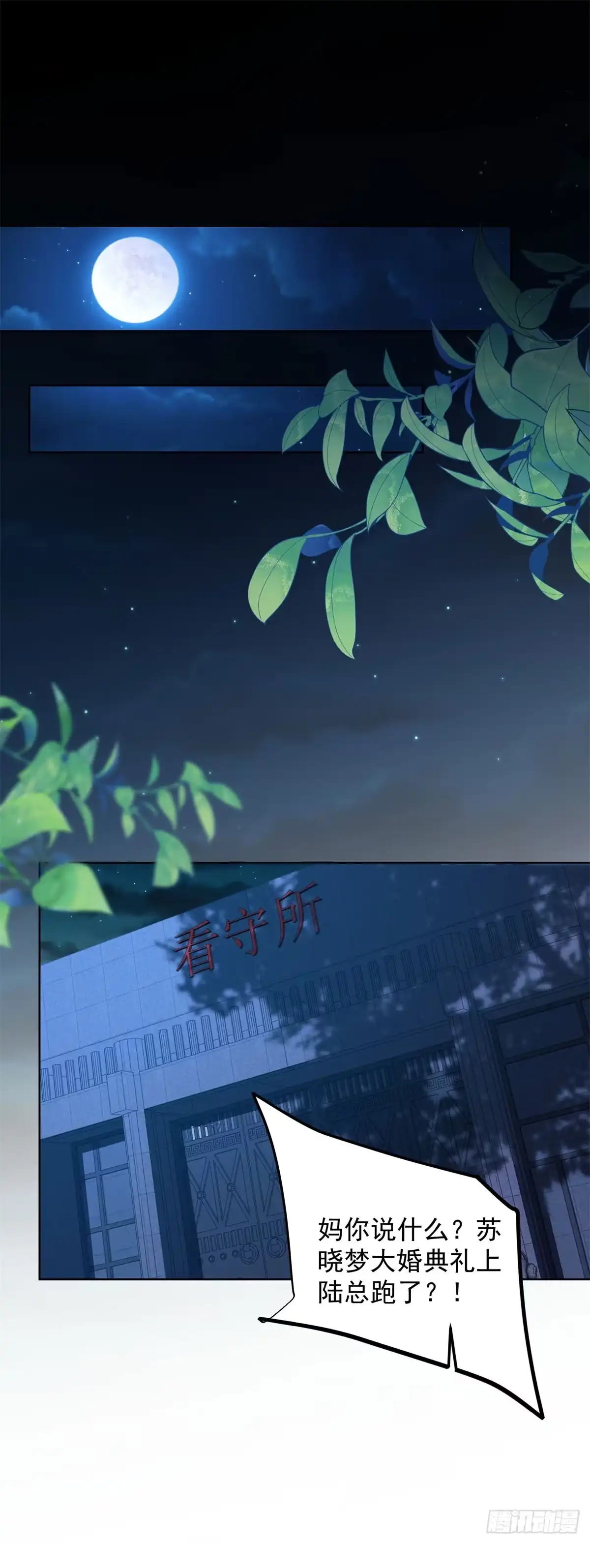 第88话陆云深求复合失败-和植物人大佬联姻-大行道动漫（第15张）
