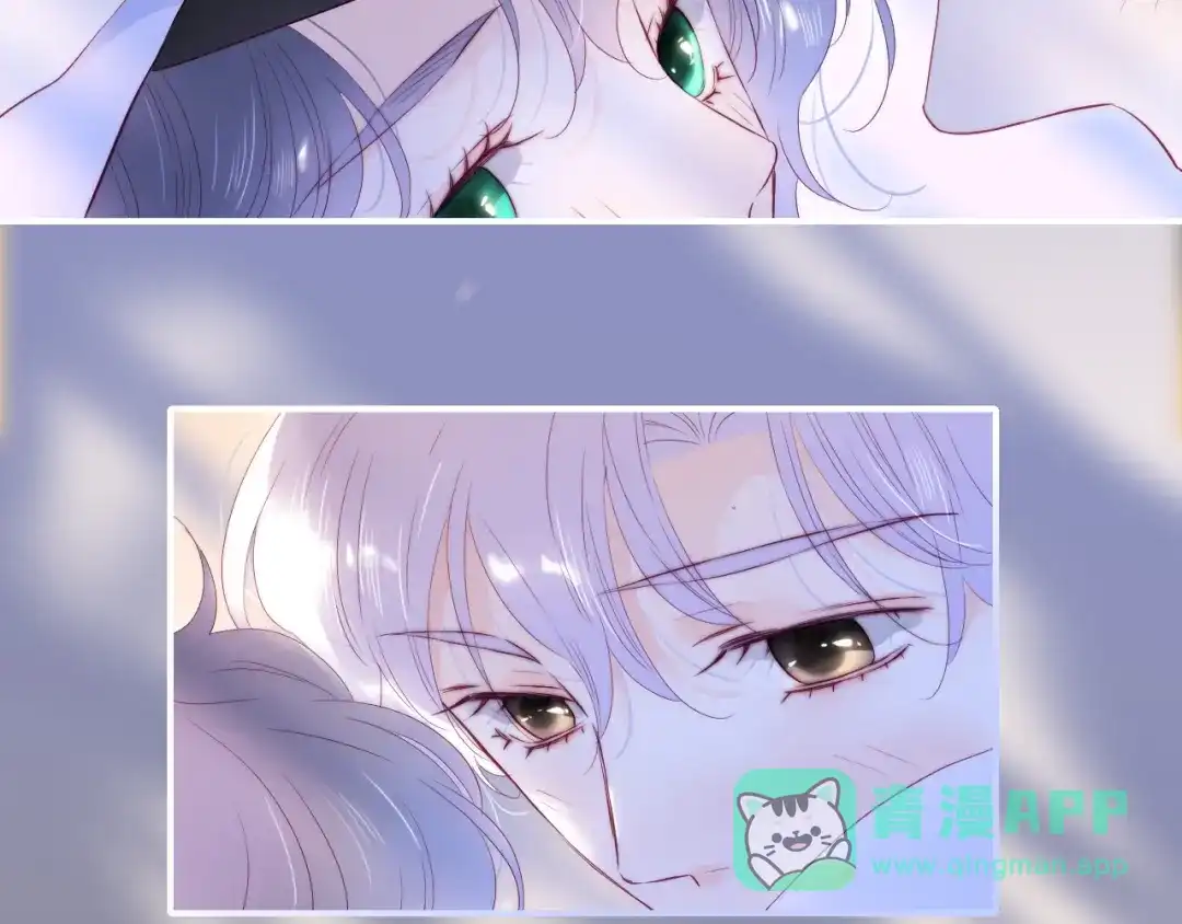 第96话满满的安全感-花和刺猬逃跑了-丁冰（第6张）