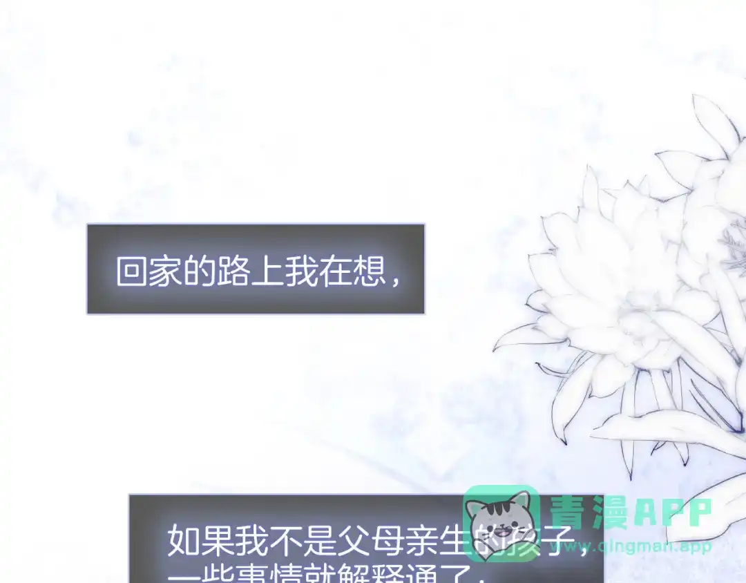 第101话云端的家-花和刺猬逃跑了-丁冰（第1张）