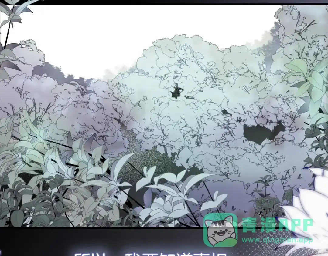 第101话云端的家-花和刺猬逃跑了-丁冰（第6张）