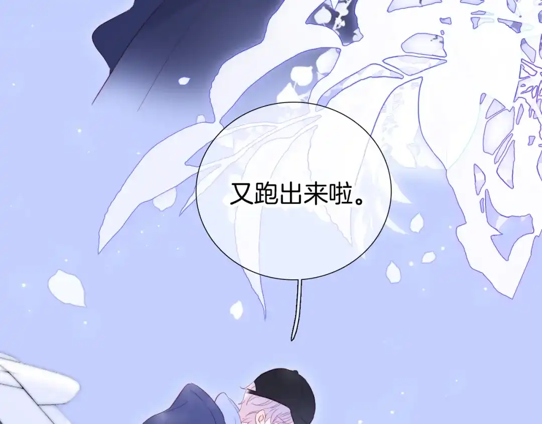 完结篇花好月圆夜（下）-花和刺猬逃跑了-丁冰（第5张）