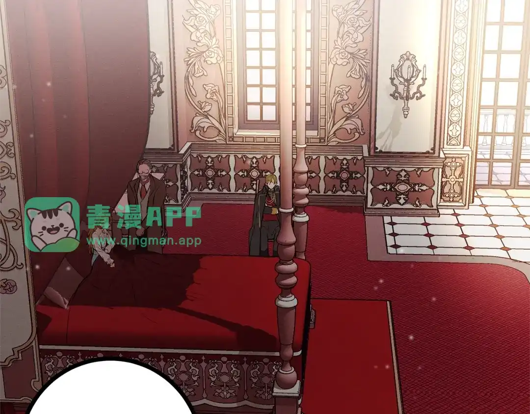 第80话来自陛下的关心❤️-假扮皇帝未婚妻-晨晓流星+沁珀（第5张）