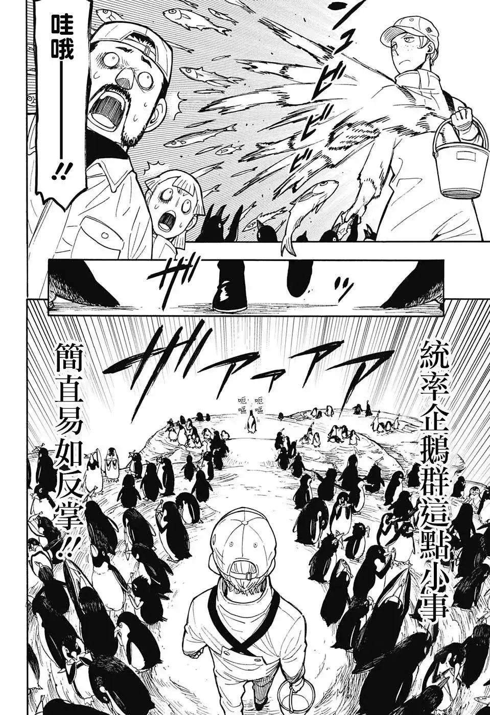 番外篇番外01-间谍过家家-远藤达哉,集英社（第24张）