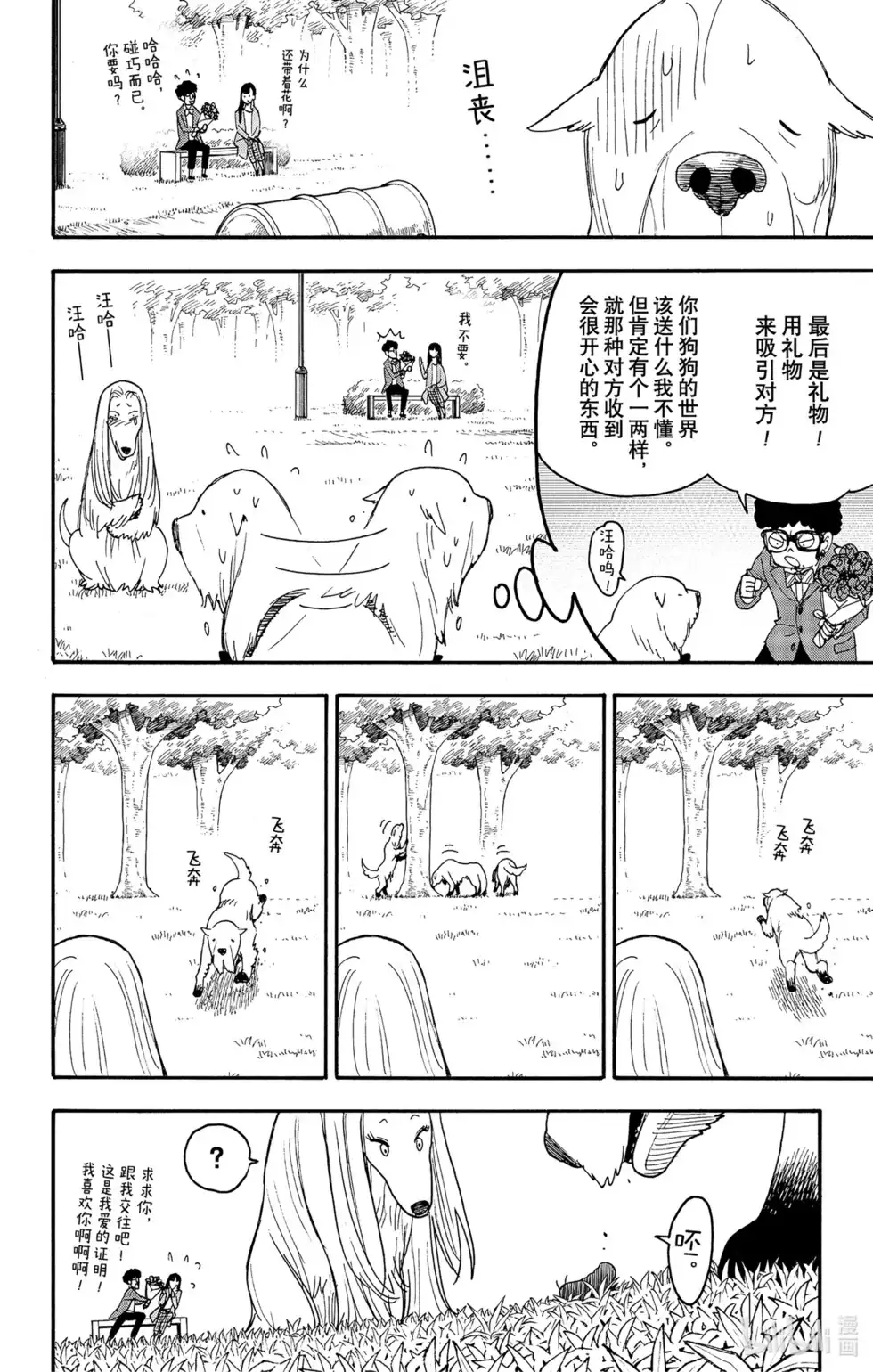 番外篇番外篇8-间谍过家家-远藤达哉,集英社（第10张）