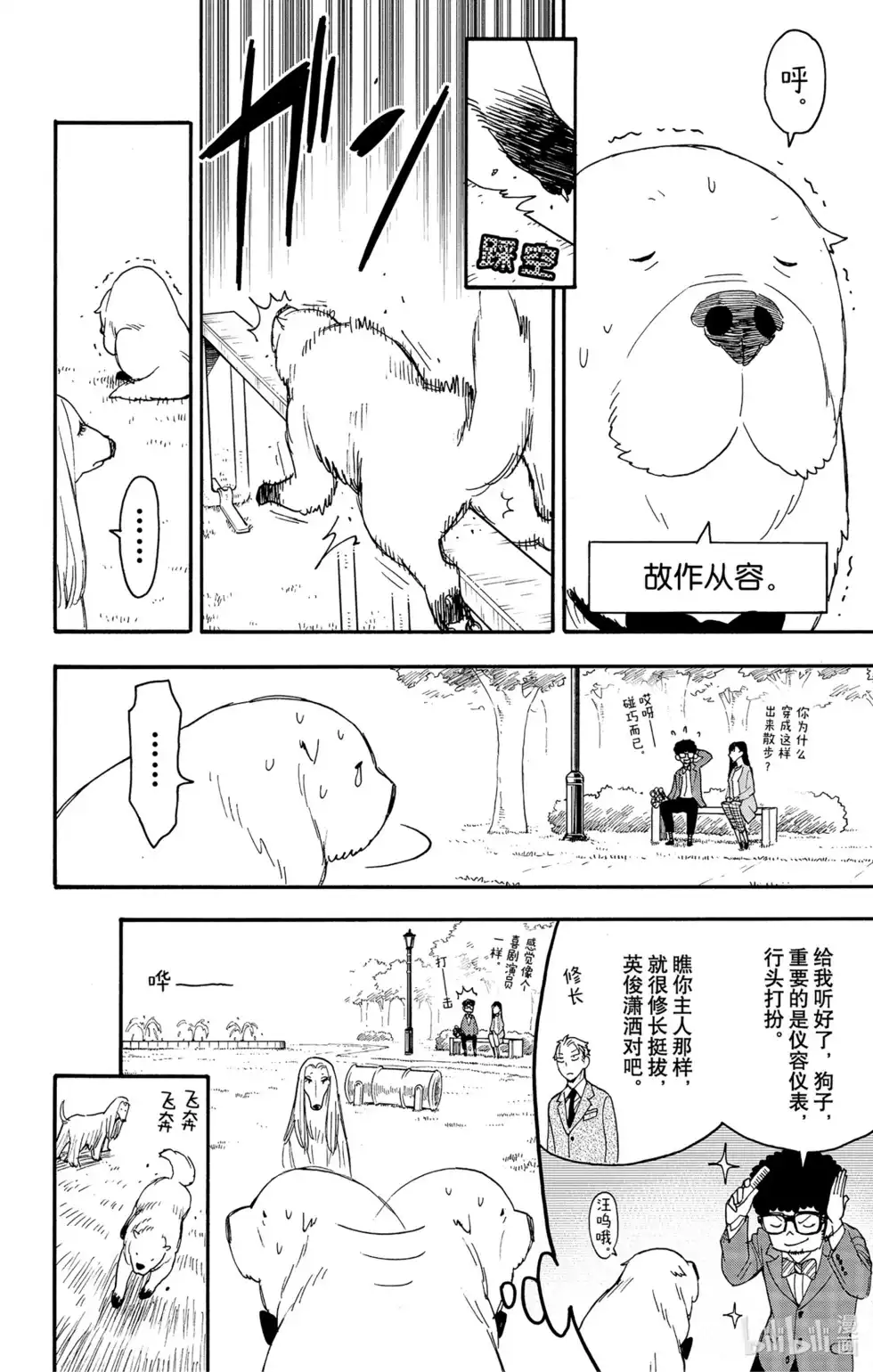 番外篇番外篇8-间谍过家家-远藤达哉,集英社（第8张）