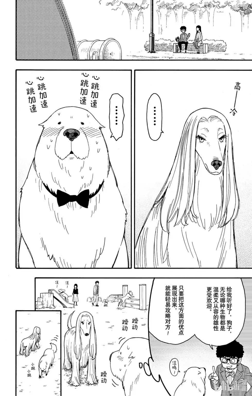 番外篇番外篇8-间谍过家家-远藤达哉,集英社（第6张）