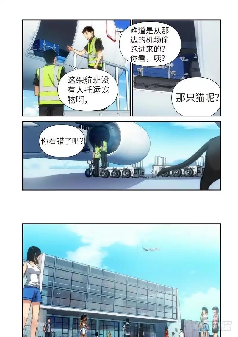 81.猫来了（01）-绝地天通·灰-上海之画,搞事喵EO（第1张）