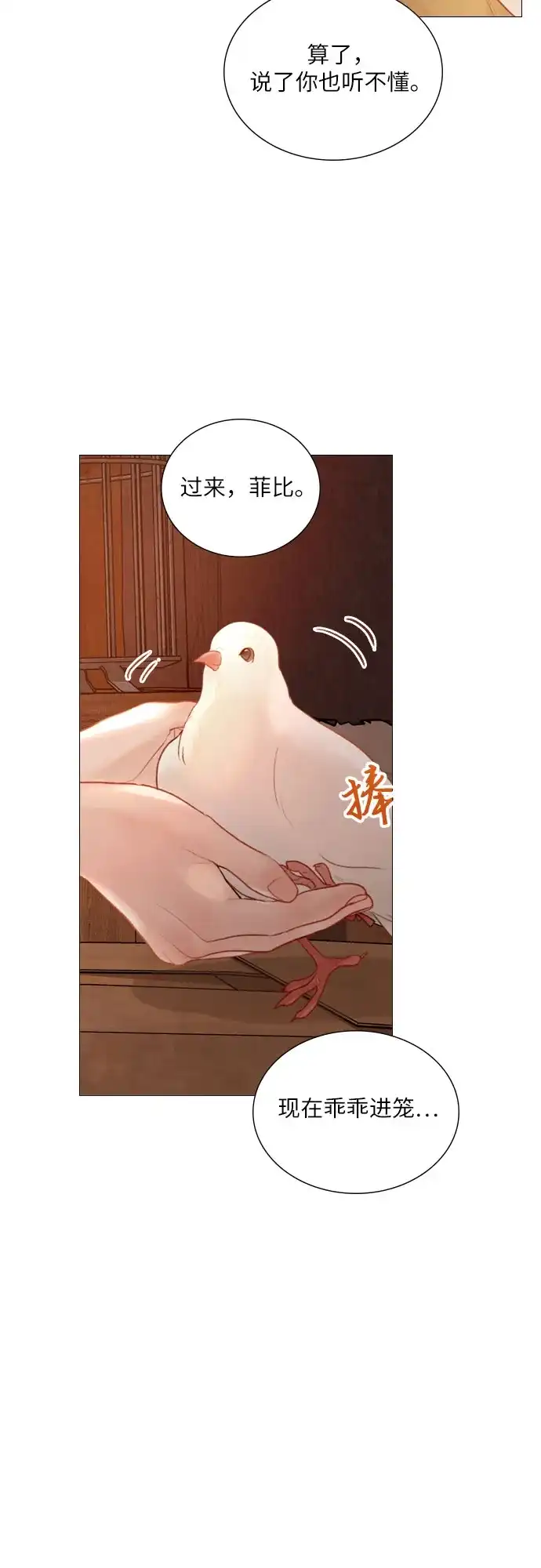 第63话-哭吧，祈求也没关系-Solche,VAN JI（第5张）