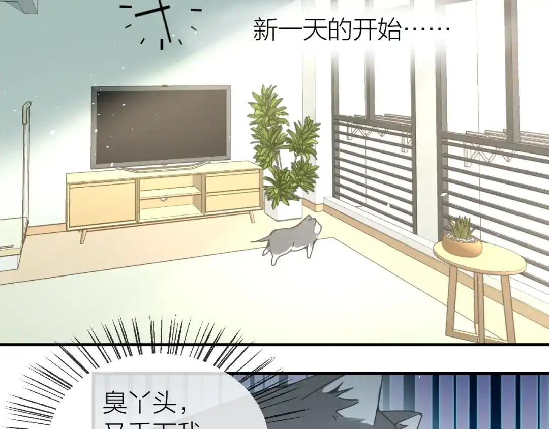 第8话搏一搏小狗变帅哥-狼殿下，坐下！-老馋猫（第3张）