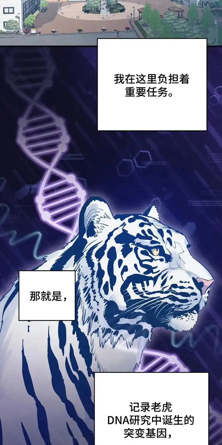 第1话-老虎观察日志-EASX（第7张）