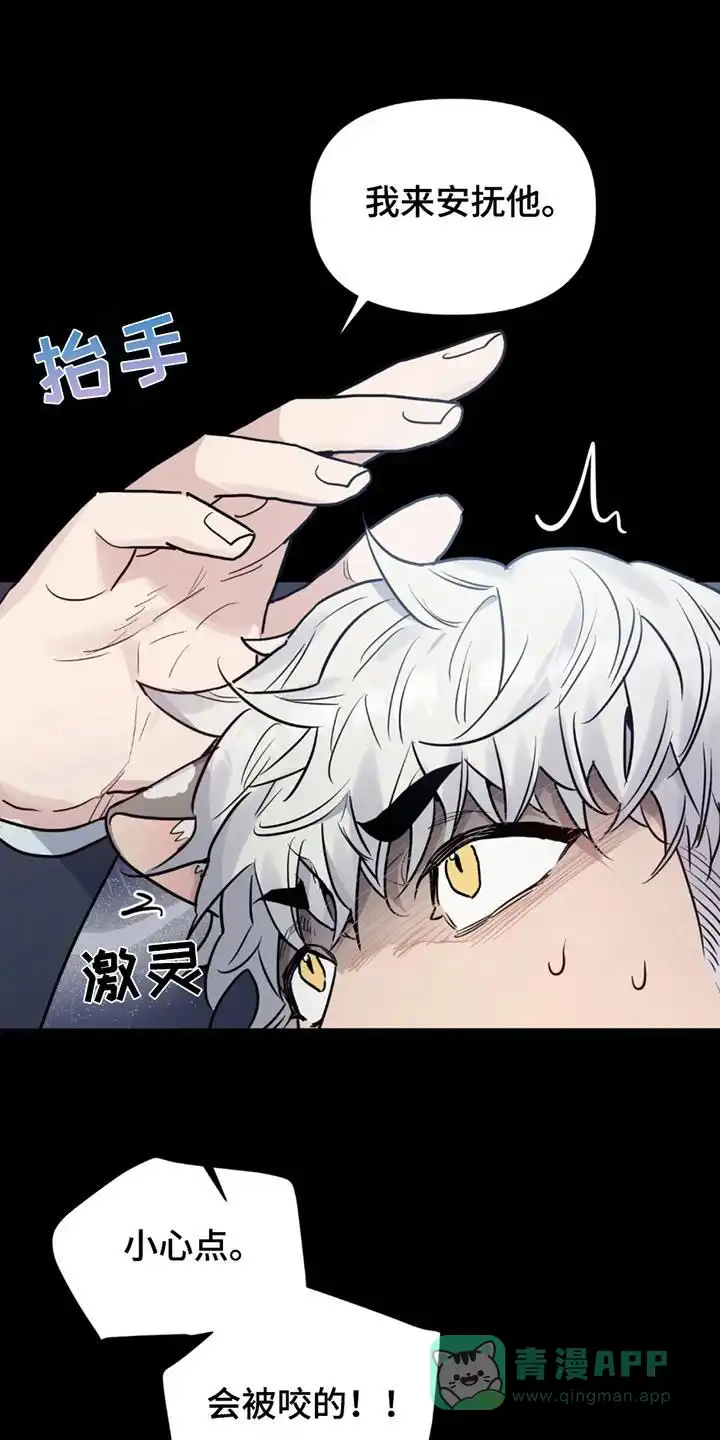 第2话-老虎观察日志-EASX（第1张）