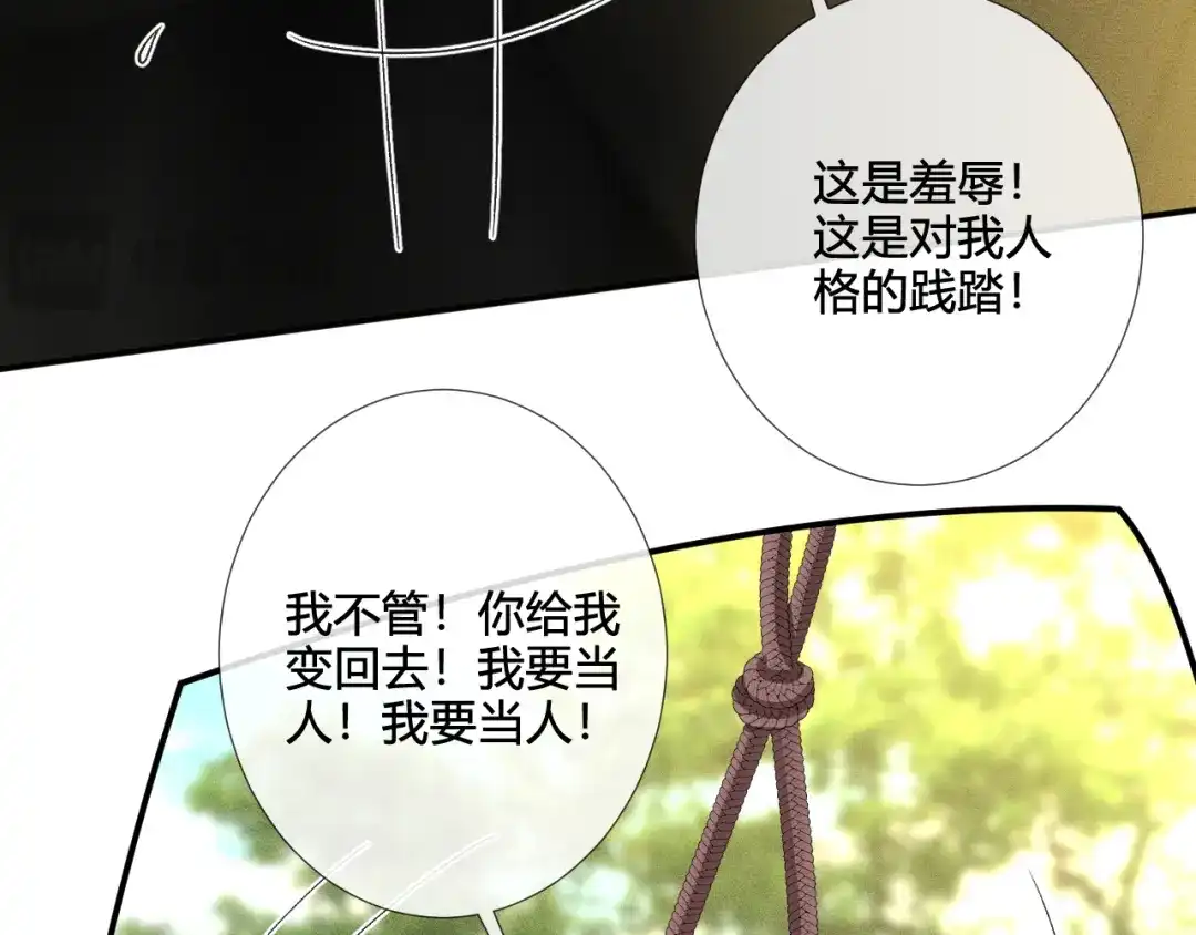 第416大变活鸟-满级大佬翻车以后-纳兰闲（原著）+虎岫工作室（第11张）