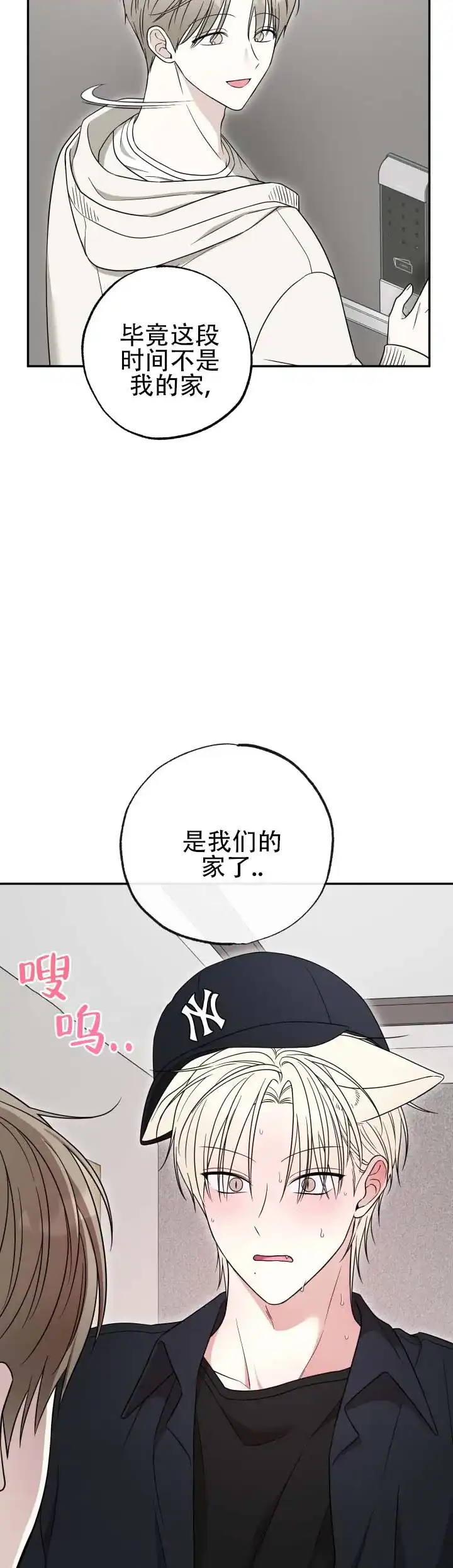 第11话-猫系男友-（第8张）