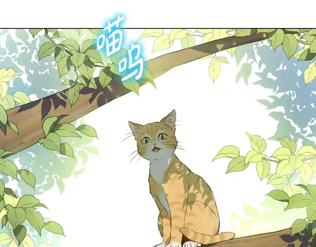 外传第8话猫咪博士-某天成为公主-Spoon+Plutus+CARROTOON（第6张）