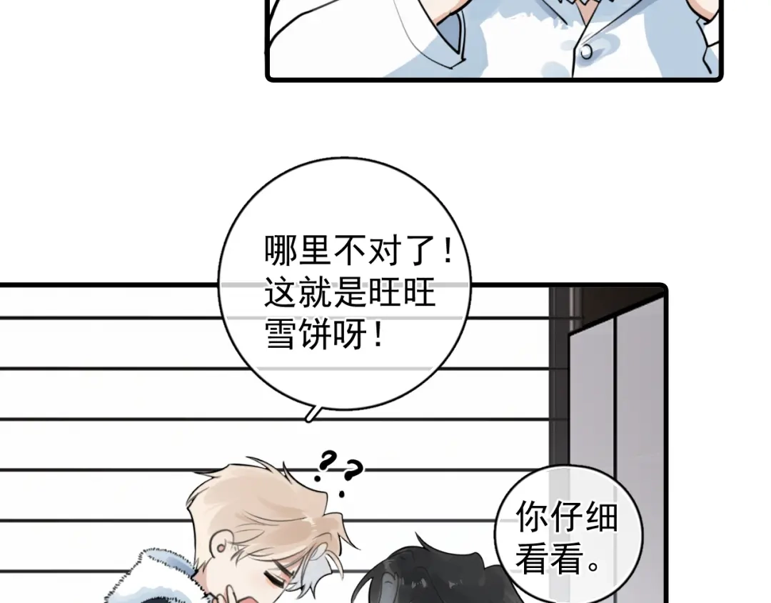 番外篇乖狗狗-你越界了-鸡精君+守（第11张）