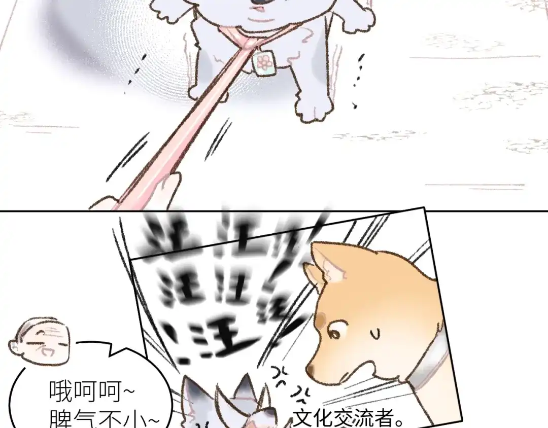 番外01-长大-牵引绳的另一端-云以笺（第11张）