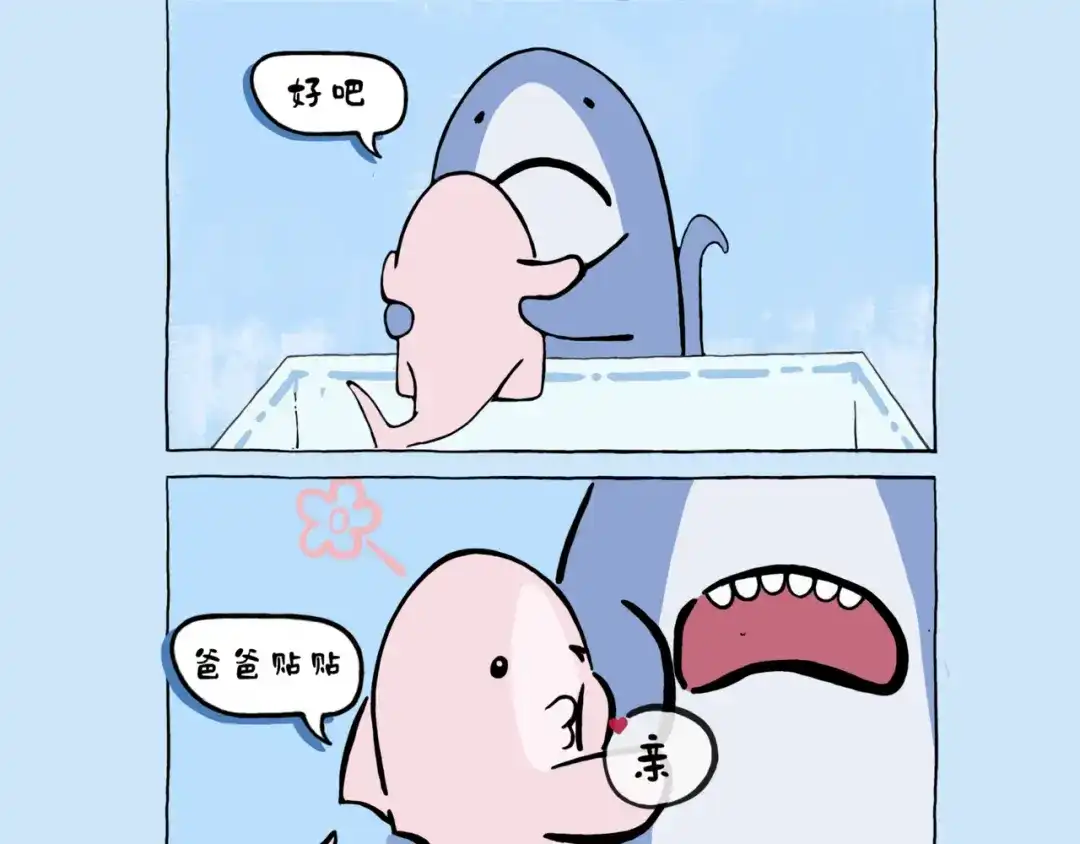 宝宝亲-鲨鱼一家-鲨鱼爸爸_shark（第4张）