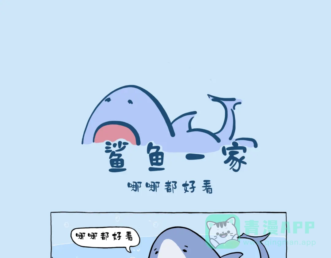 宝宝亲-鲨鱼一家-鲨鱼爸爸_shark（第6张）