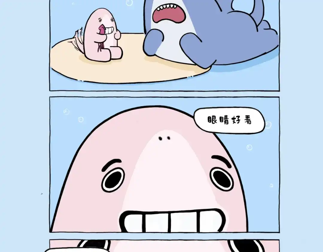 宝宝亲-鲨鱼一家-鲨鱼爸爸_shark（第7张）