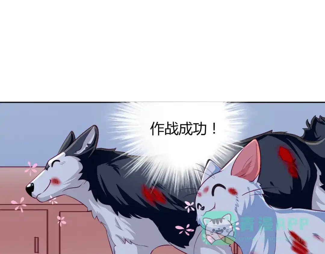 第14话作战成功！-神兽争宠记-泛次元文化（第11张）