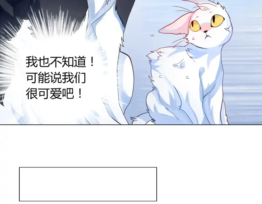 第5话我才不要你们保护呢！-神兽争宠记-泛次元文化（第12张）