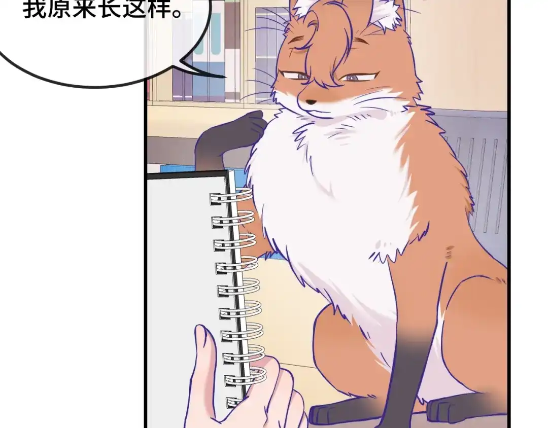 第81话不要进来啊-说谎的小狗会被吃掉的-_Px_（第11张）