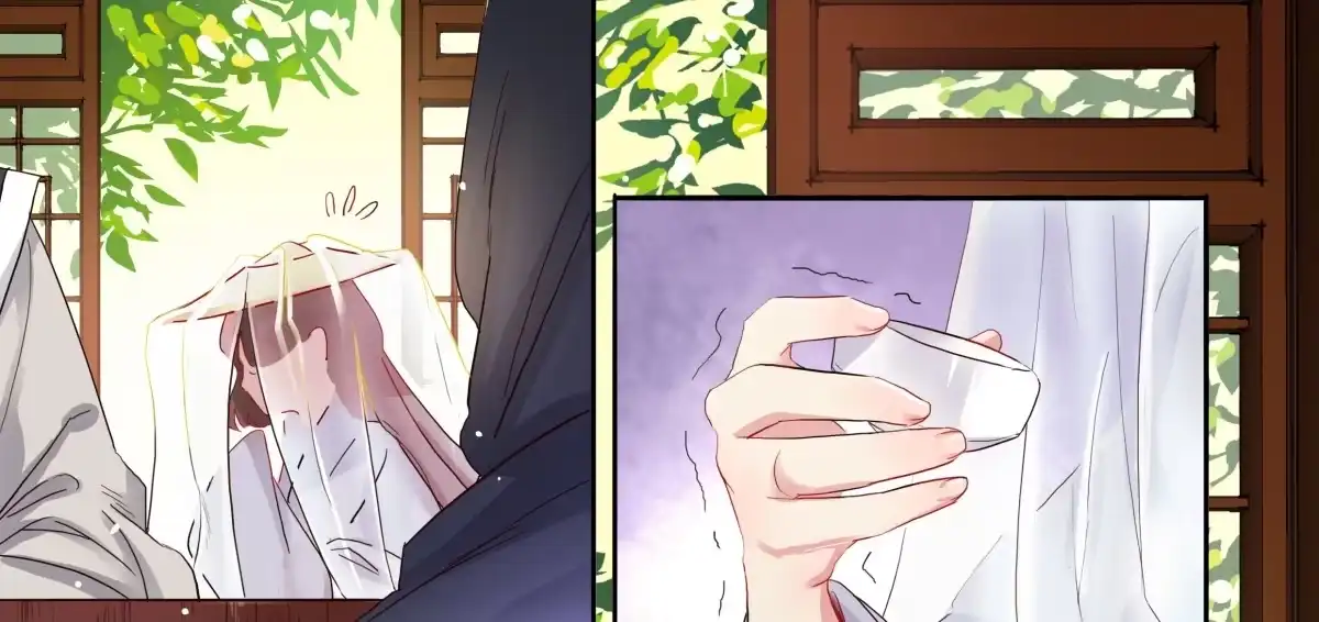 第11话画像上的人-天才宝贝的腹黑嫡娘-安徽微漫（第4张）