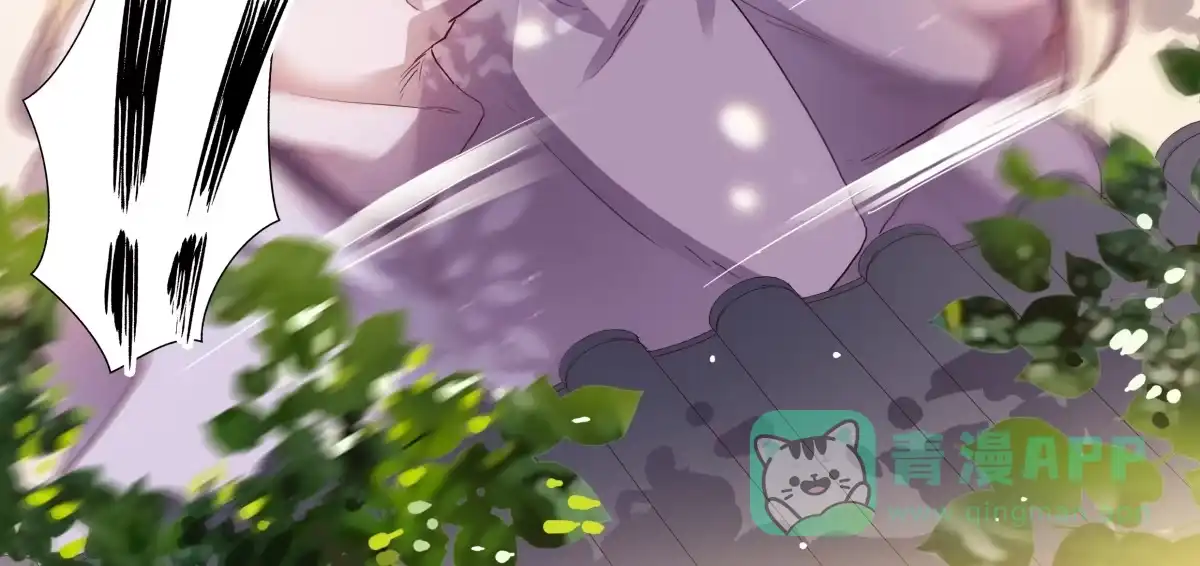 第13话贴身侍女-天才宝贝的腹黑嫡娘-安徽微漫（第15张）