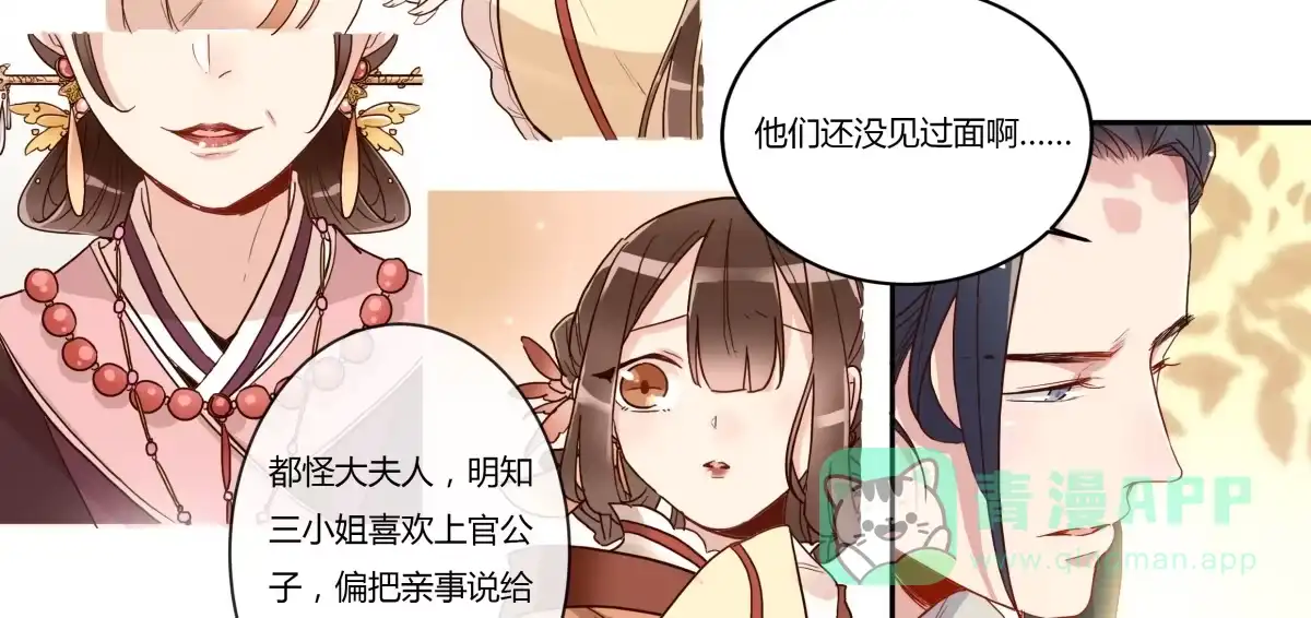第14话第一次见面-天才宝贝的腹黑嫡娘-安徽微漫（第10张）