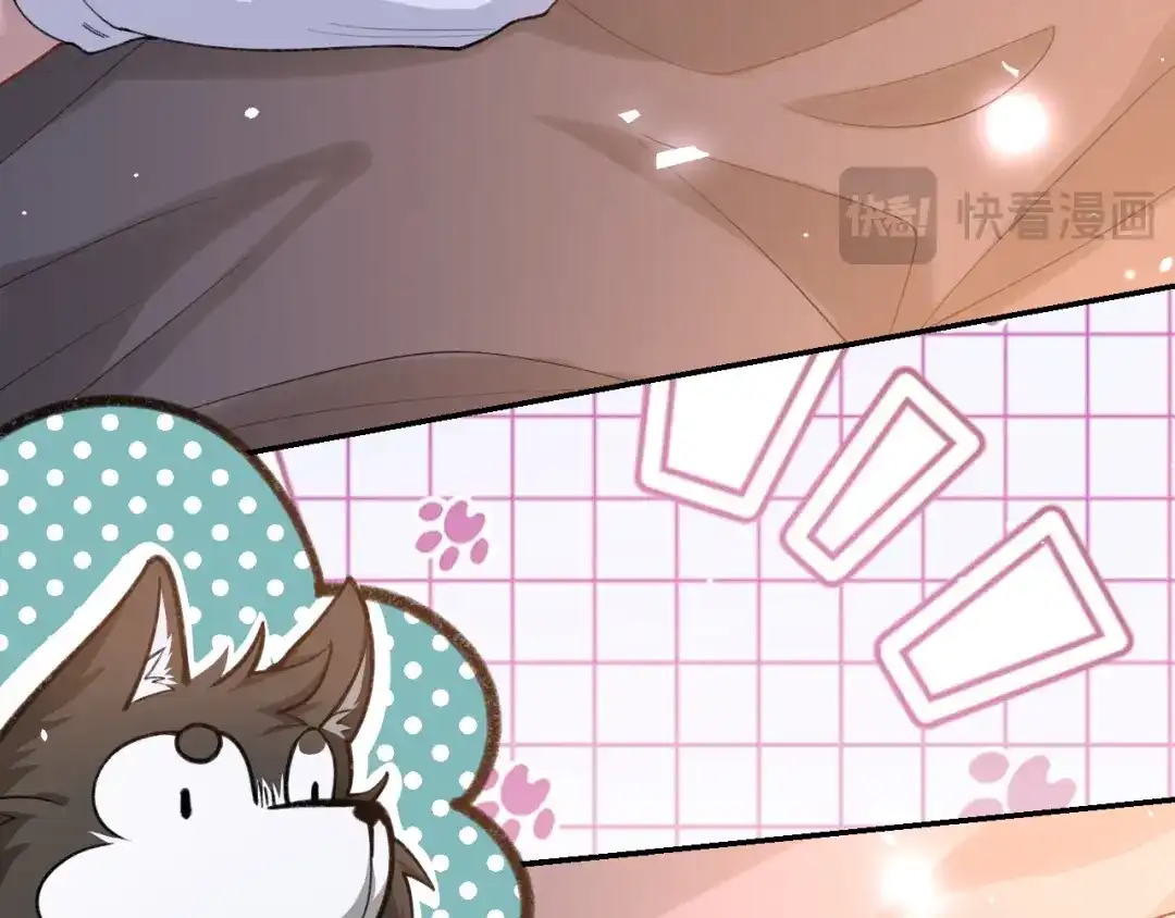 第223话：关于过去的答案-替身关系-猫仆工作室（第13张）