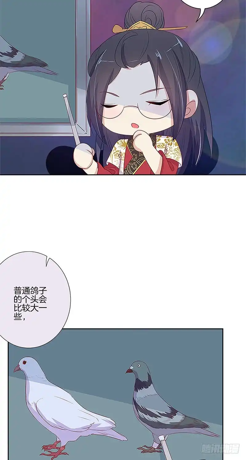 第77话回娘家-王爷你好坏-万二（第3张）