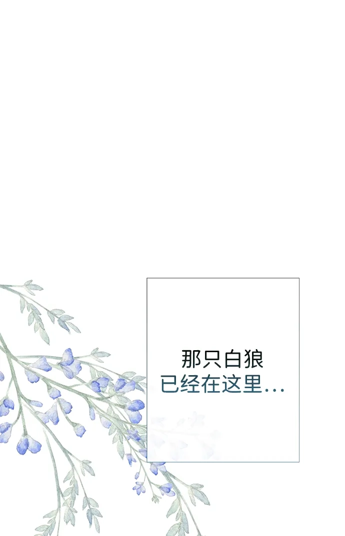 [第128话]盘踞在巴福特的狼-问题王子-Solche,CACTUS（第9张）