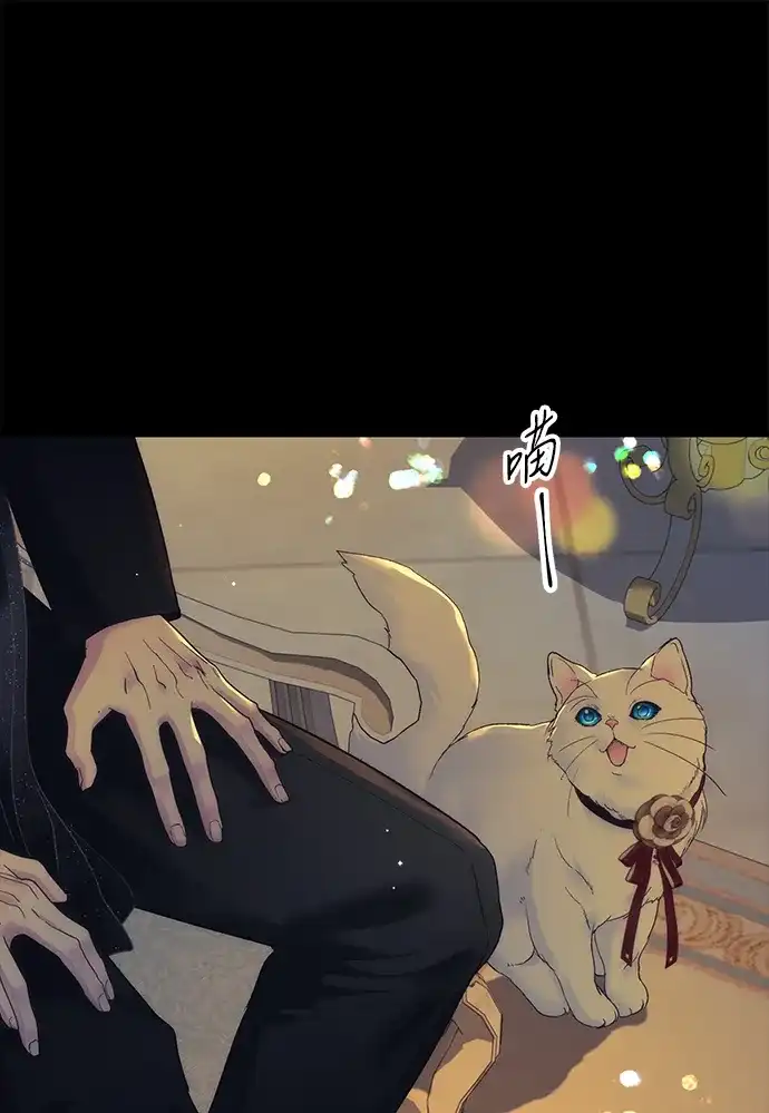 [第146话]困扰我内心许久的问题的答案-问题王子-Solche,CACTUS（第11张）