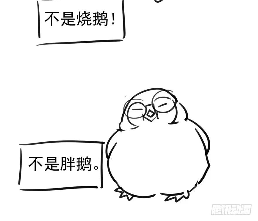我们参加年度作品评选啦！-我才不是恶毒女配（麻辣女配）-初心漫画,招财胖企（第5张）