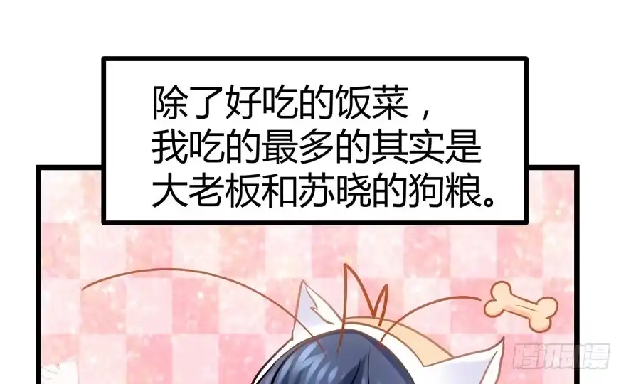 番外，苏晓的助理（完）-我才不是恶毒女配（麻辣女配）-初心漫画,招财胖企（第10张）