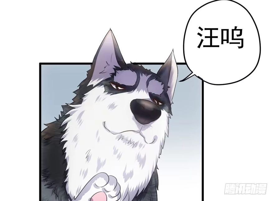 “男神”哈哈。-我才不是恶毒女配（麻辣女配）-初心漫画,招财胖企（第12张）