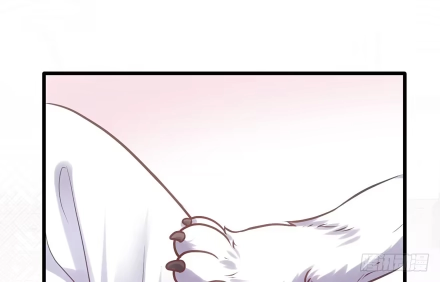 呆若木鸡-我才不是恶毒女配（麻辣女配）-初心漫画,招财胖企（第13张）