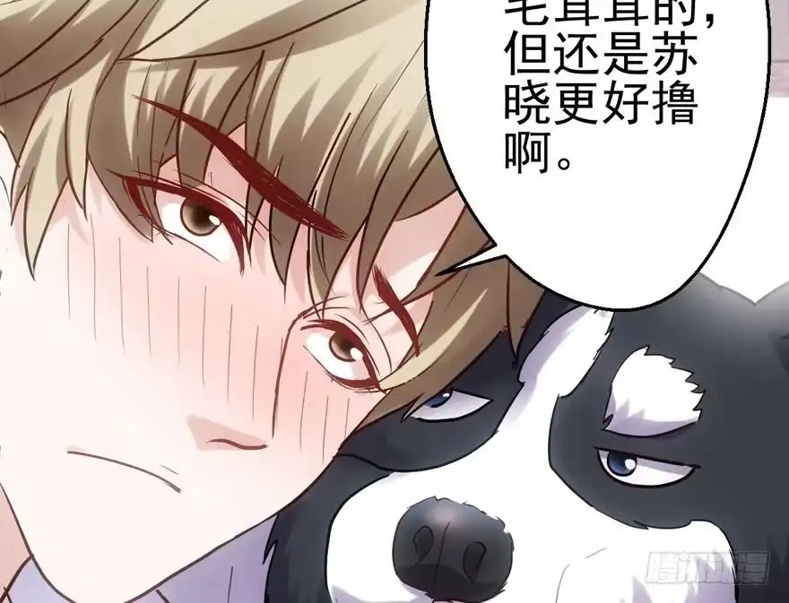 呆若木鸡-我才不是恶毒女配（麻辣女配）-初心漫画,招财胖企（第17张）